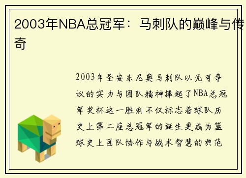 2003年NBA总冠军：马刺队的巅峰与传奇